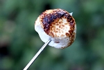 image for Madyson’s Gourmet Marshmallow Fluffs