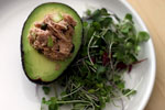 image for Avocado Tuna Salad