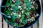 image for Lentil Spinach Salad