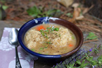 image for Veggies and Dumplings
