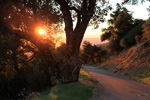 image for Figueroa Campground