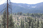 image for Barton Flats Campground