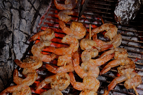 Spicy Grilled Shrimp Skewers Easy Camping Recipe Dirty Gourmet,How Long Do Bettas Live
